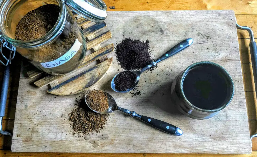 Chaga powder with coffee grinds on a serving plate