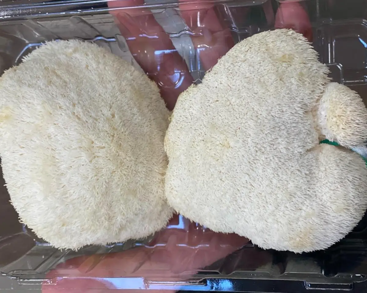 Lion's Mane in a plastic package