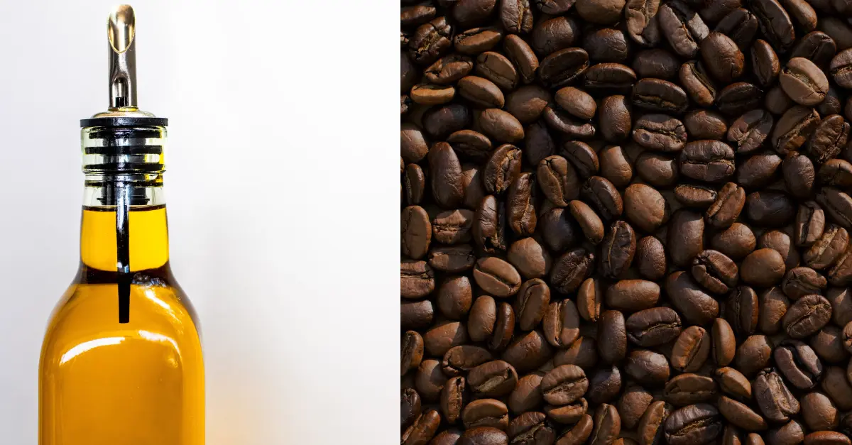 Starbucks' Olive Oil in Coffee: Is It Worth a Try?