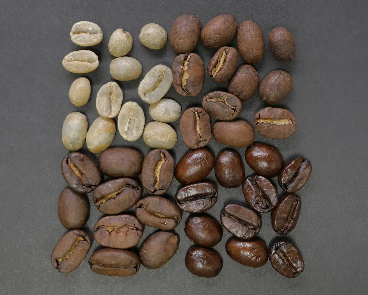 Coffee beans of different roast