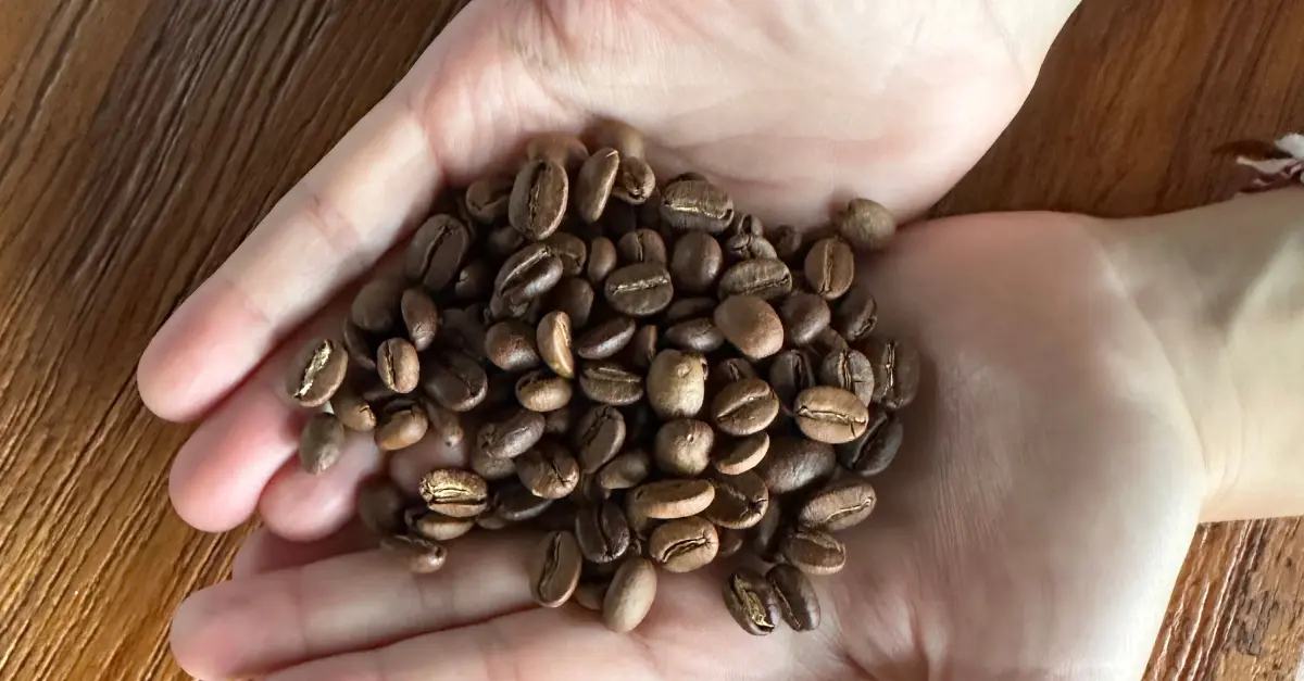 10 Best Single Origin Coffee Beans: Taste a Terroir's Essence