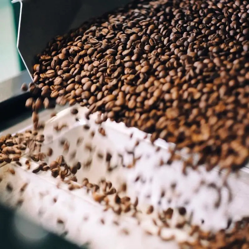 coffee beans eing sorted by colours in a Sovda Pearl Mini