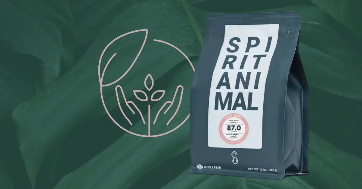 7 Sustainable Coffee Brands: Join The Coffee Conscious Lifestyle