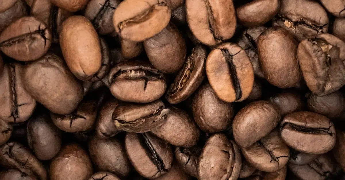 The Secret to Exceptional Coffee: Finding the Best Beans