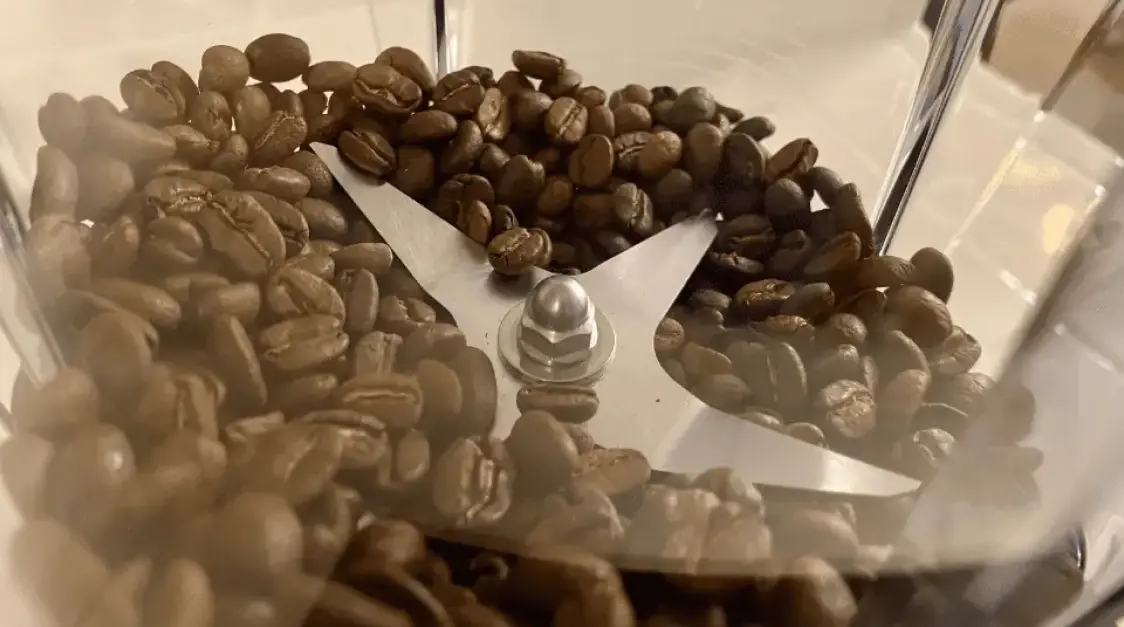 Vitamix Grinder: Can I Really Grind My Coffee Beans?