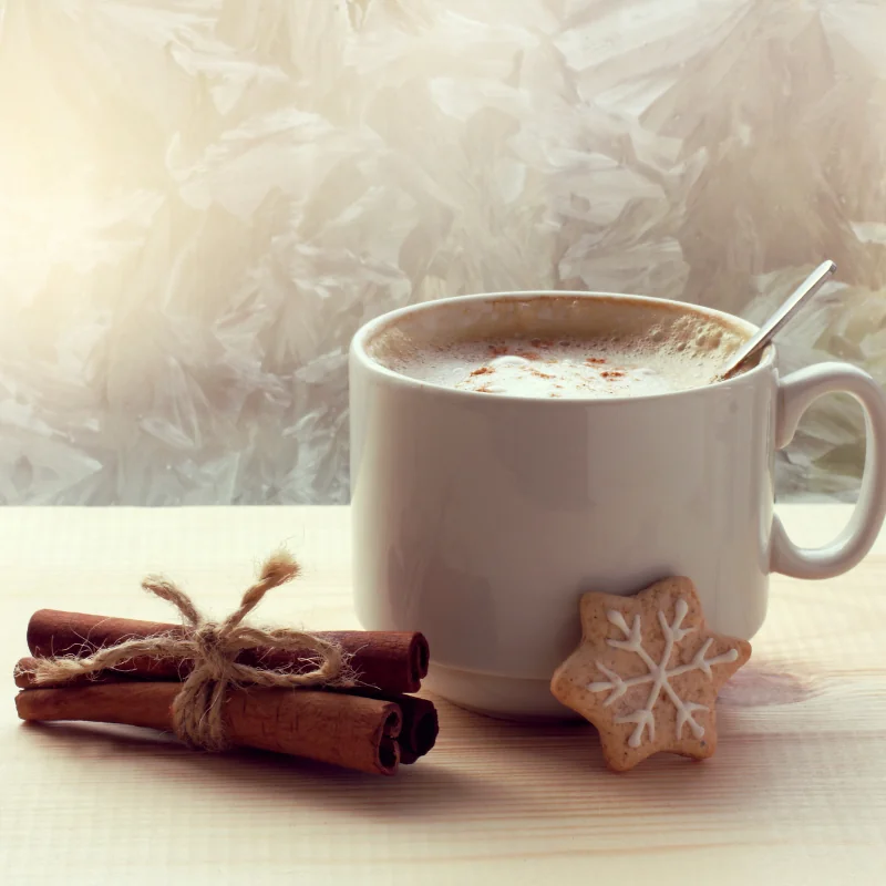 Hot cup of coffee by a frosty window with a cookie and cinnamon sticks